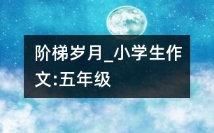 階梯、歲月_小學(xué)生作文:五年級(jí)