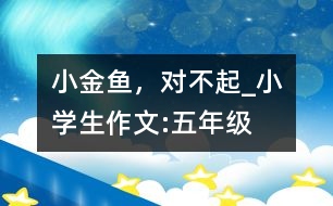 小金魚，對不起_小學(xué)生作文:五年級