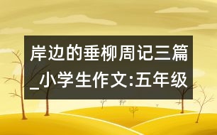 岸邊的垂柳（周記三篇）_小學(xué)生作文:五年級
