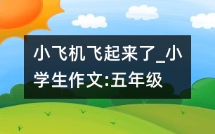 小飛機(jī)飛起來(lái)了_小學(xué)生作文:五年級(jí)