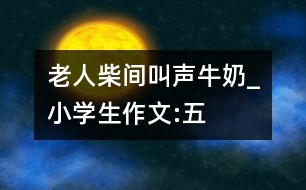 老人、柴間、叫聲、牛奶_小學(xué)生作文:五年級