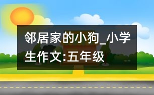 鄰居家的小狗_小學生作文:五年級