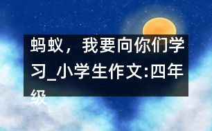 螞蟻，我要向你們學(xué)習(xí)_小學(xué)生作文:四年級