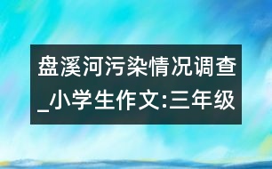 盤溪河污染情況調(diào)查_(kāi)小學(xué)生作文:三年級(jí)