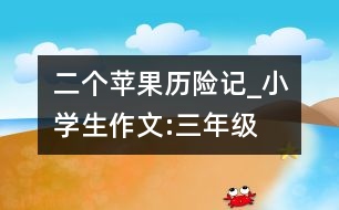 二個(gè)蘋(píng)果歷險(xiǎn)記_小學(xué)生作文:三年級(jí)