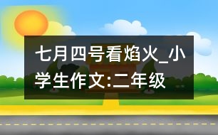 七月四號看焰火_小學生作文:二年級