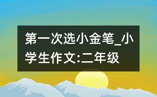 第一次選“小金筆”_小學生作文:二年級