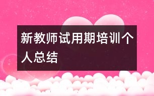 新教師試用期培訓(xùn)個(gè)人總結(jié)