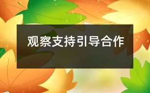 觀察、支持、引導(dǎo)、合作