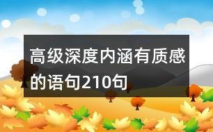高級(jí)深度內(nèi)涵有質(zhì)感的語(yǔ)句210句