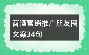苕酒營(yíng)銷(xiāo)推廣朋友圈文案34句