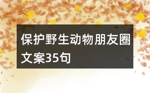 保護(hù)野生動(dòng)物朋友圈文案35句