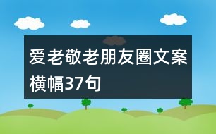 愛(ài)老敬老朋友圈文案、橫幅37句