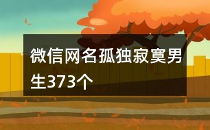 微信網(wǎng)名孤獨(dú)寂寞男生373個
