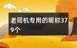 老司機(jī)專用的昵稱379個