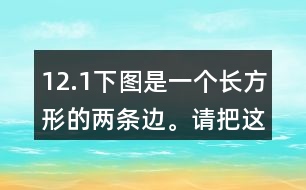12.（1）下圖是一個長方形的兩條邊。請把這個長方形畫完整。