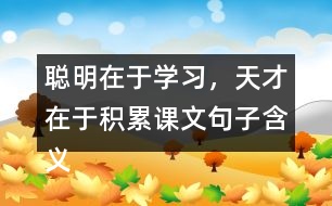 聰明在于學習，天才在于積累課文句子含義分析