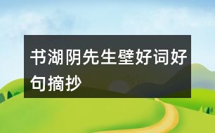 書(shū)湖陰先生壁好詞好句摘抄