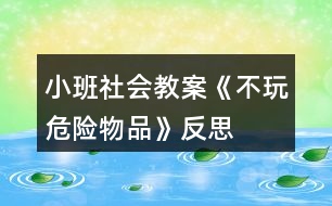 小班社會(huì)教案《不玩危險(xiǎn)物品》反思