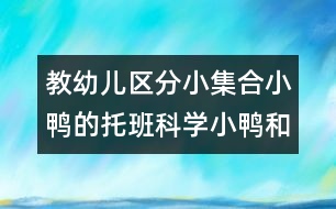 教幼兒區(qū)分小集合小鴨的托班科學：小鴨和小雞