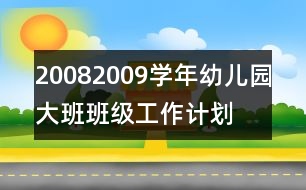 2008—2009學(xué)年幼兒園大班班級工作計(jì)劃