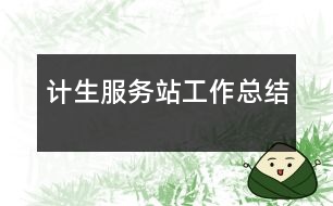 計生服務站工作總結