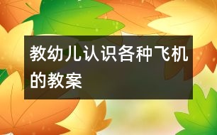 教幼兒認識各種飛機的教案