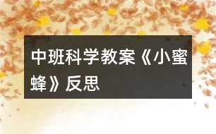 中班科學教案《小蜜蜂》反思