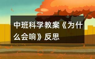 中班科學教案《為什么會響》反思