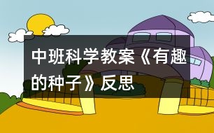 中班科學教案《有趣的種子》反思