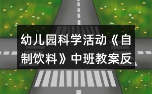 幼兒園科學(xué)活動《自制飲料》中班教案反思