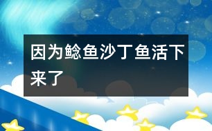 因?yàn)轹T魚(yú),沙丁魚(yú)活下來(lái)了