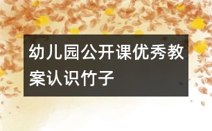幼兒園公開課優(yōu)秀教案：認(rèn)識竹子