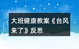 大班健康教案《臺(tái)風(fēng)來(lái)了》反思