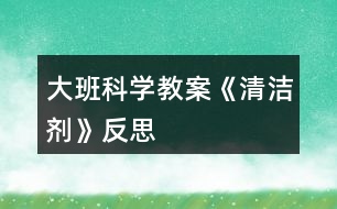 大班科學教案《清潔劑》反思