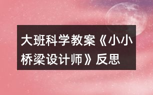 大班科學教案《小小橋梁設計師》反思