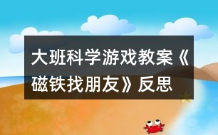 大班科學游戲教案《磁鐵找朋友》反思