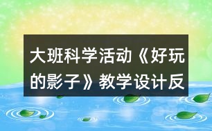 大班科學活動《好玩的影子》教學設計反思