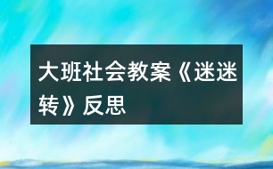 大班社會教案《迷迷轉》反思