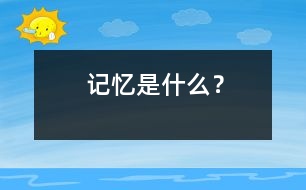 記憶是什么？