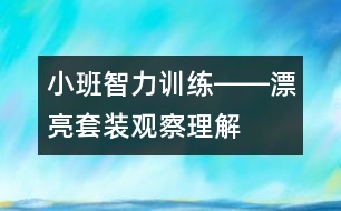小班智力訓(xùn)練――漂亮套裝（觀察、理解、判斷、語(yǔ)言）