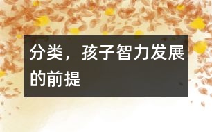 分類，孩子智力發(fā)展的前提