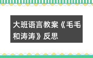 大班語(yǔ)言教案《毛毛和濤濤》反思