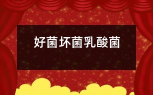 好菌、壞菌、乳酸菌