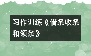 （習(xí)作訓(xùn)練）《借條、收條和領(lǐng)條》