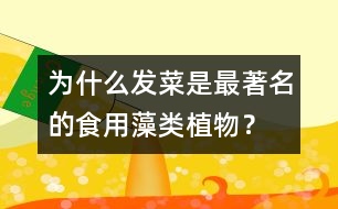 為什么發(fā)菜是最著名的食用藻類植物？