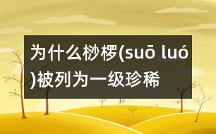 為什么桫欏(suō luó)被列為一級(jí)珍稀植物？