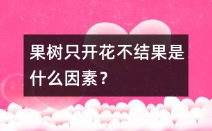 果樹只開花不結(jié)果是什么因素？