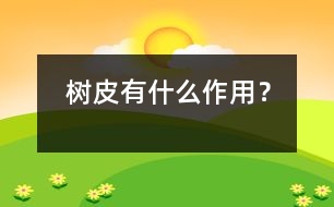 樹皮有什么作用？