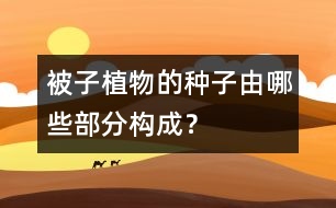 被子植物的種子由哪些部分構(gòu)成？